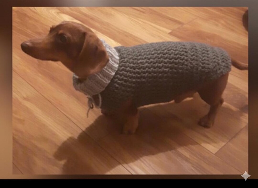 Buy Chunky Yarn Crochet Dog Jumper Pattern: Dachshund, Small Dog (PDF  Digital Download) Online in India