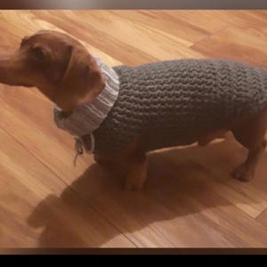 Padrão de suéter de crochê para cachorro com fio grosso: Dachshund, cachorro pequeno (download digital em PDF)