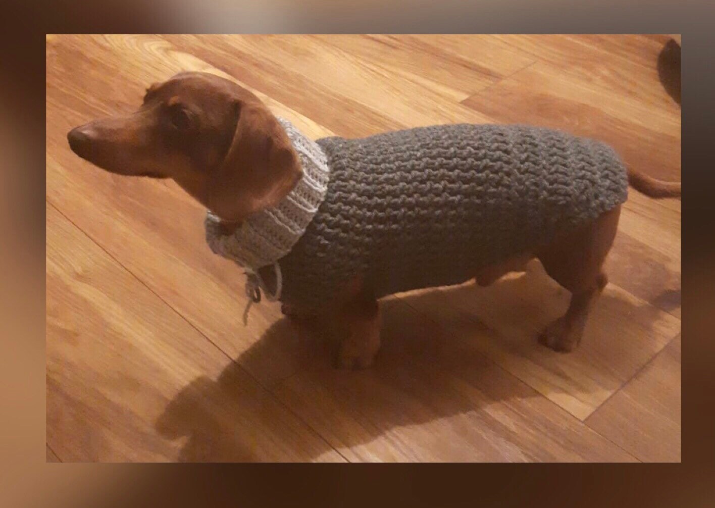 Crochet store dachshund sweater