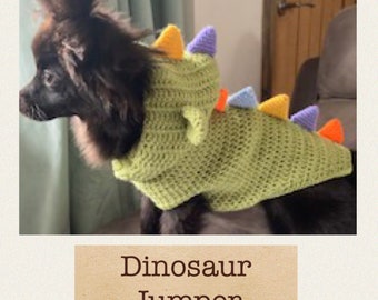 Digital download Crochet Dinosaur Jumper sweater Pattern 14 inch