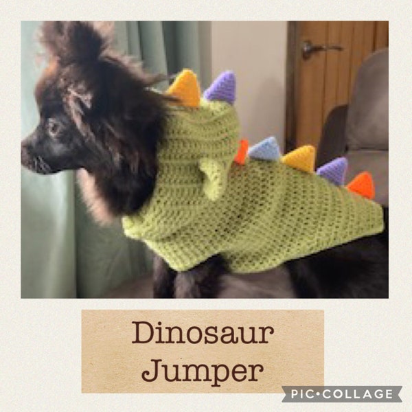 Digital download Crochet Dinosaur Jumper sweater Pattern 14 inch