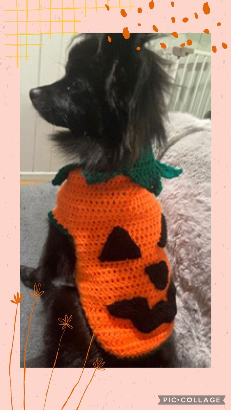 PDF Digital Download Crochet Pattern Dog Jumper Pumpkin Etsy
