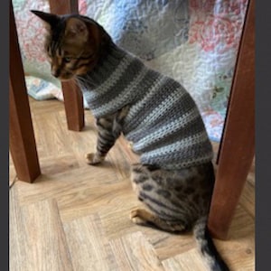 May include: A gray and white striped knitted sweater for a cat. The sweater is crocheted and has a close-fitting design. The cat is sitting on a wood floor.