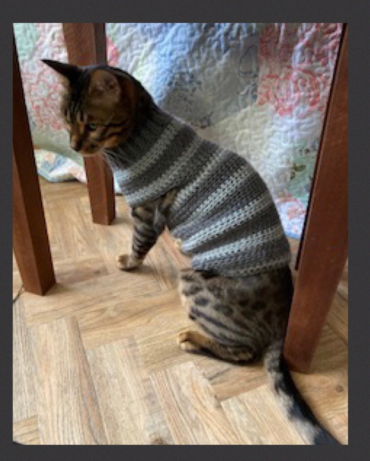 PDF Digital Download Crochet Pattern Cat Sweater Bengal Etsy