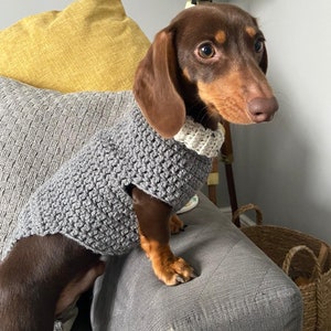 May include: A brown and tan dachshund wearing a gray crocheted sweater. The dog is sitting on a gray couch with a yellow pillow behind it.