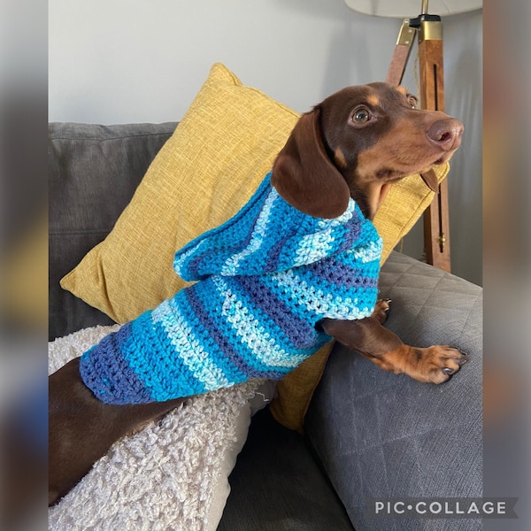 PDF Digital download crochet pattern, crochet Dachshund, small dog jumper sweater hoody coat 14 inch