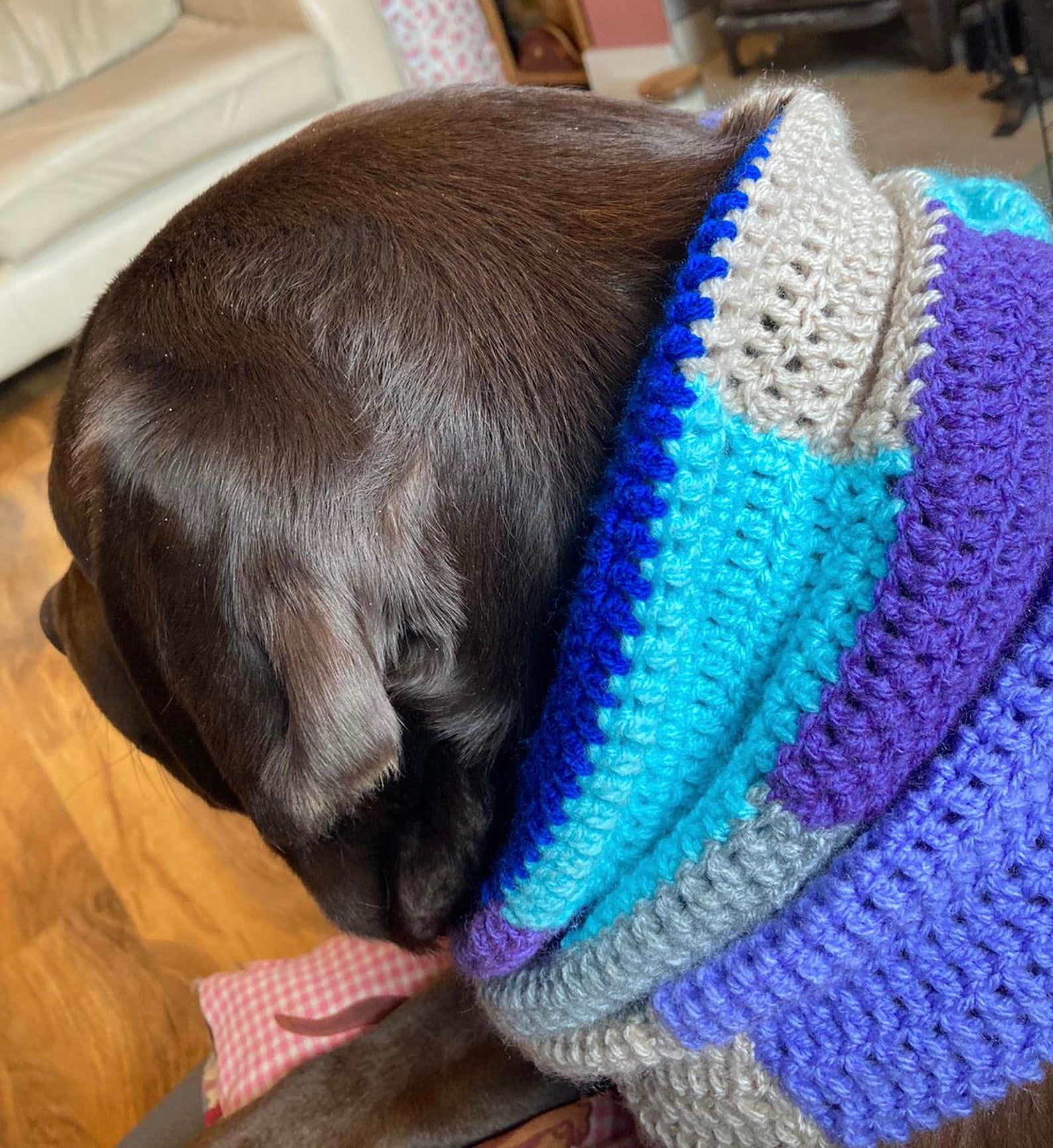 PDF Digital download crochet pattern large dog snood Etsy