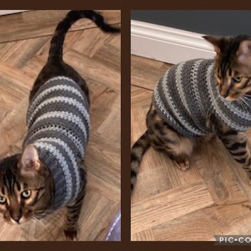 CROCHET PATTERN Rainbow Cat Sweater Etsy