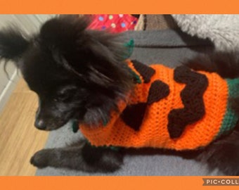 May include: A black dog wearing a crocheted orange and black pumpkin costume. The costume has a green trim around the neck and the pumpkin face is made of black yarn.