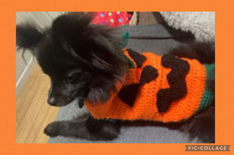 PDF Digital Download Crochet Pattern Dog Jumper Pumpkin Etsy