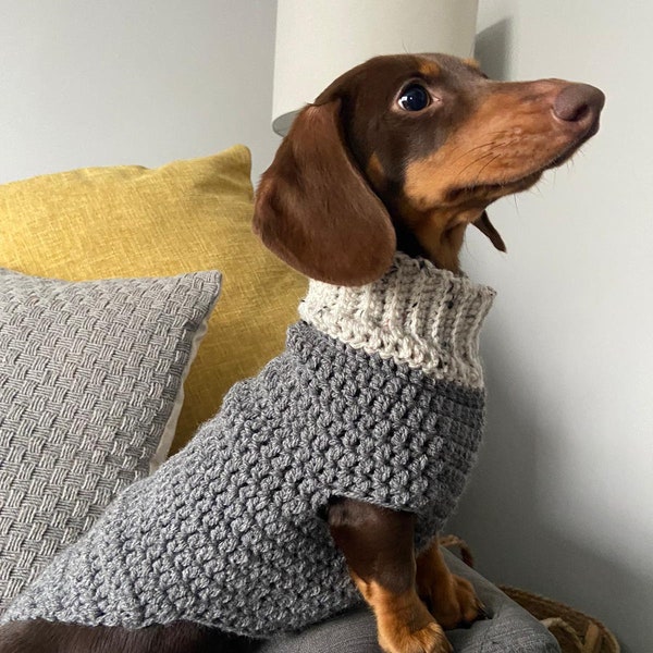 PDF Digital download crochet pattern, Easy small dog, sausage dog, dachshund crochet jumper, sweater pattern 14 inch