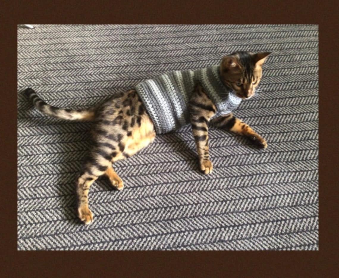 PDF Digital Download Crochet Pattern Cat Sweater Bengal Etsy