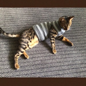 Peut inclure: Un chat tigré portant un pull en tricot rayé gris et blanc, allongé sur un tapis à motifs gris et blanc.