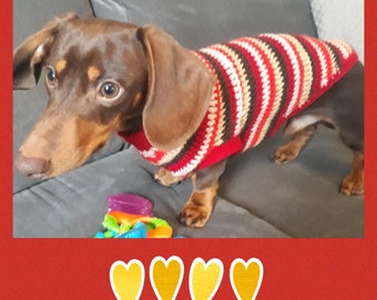 PDF Digital download crochet pattern, crochet Dachshund dog jumper sweater coat 14 inch