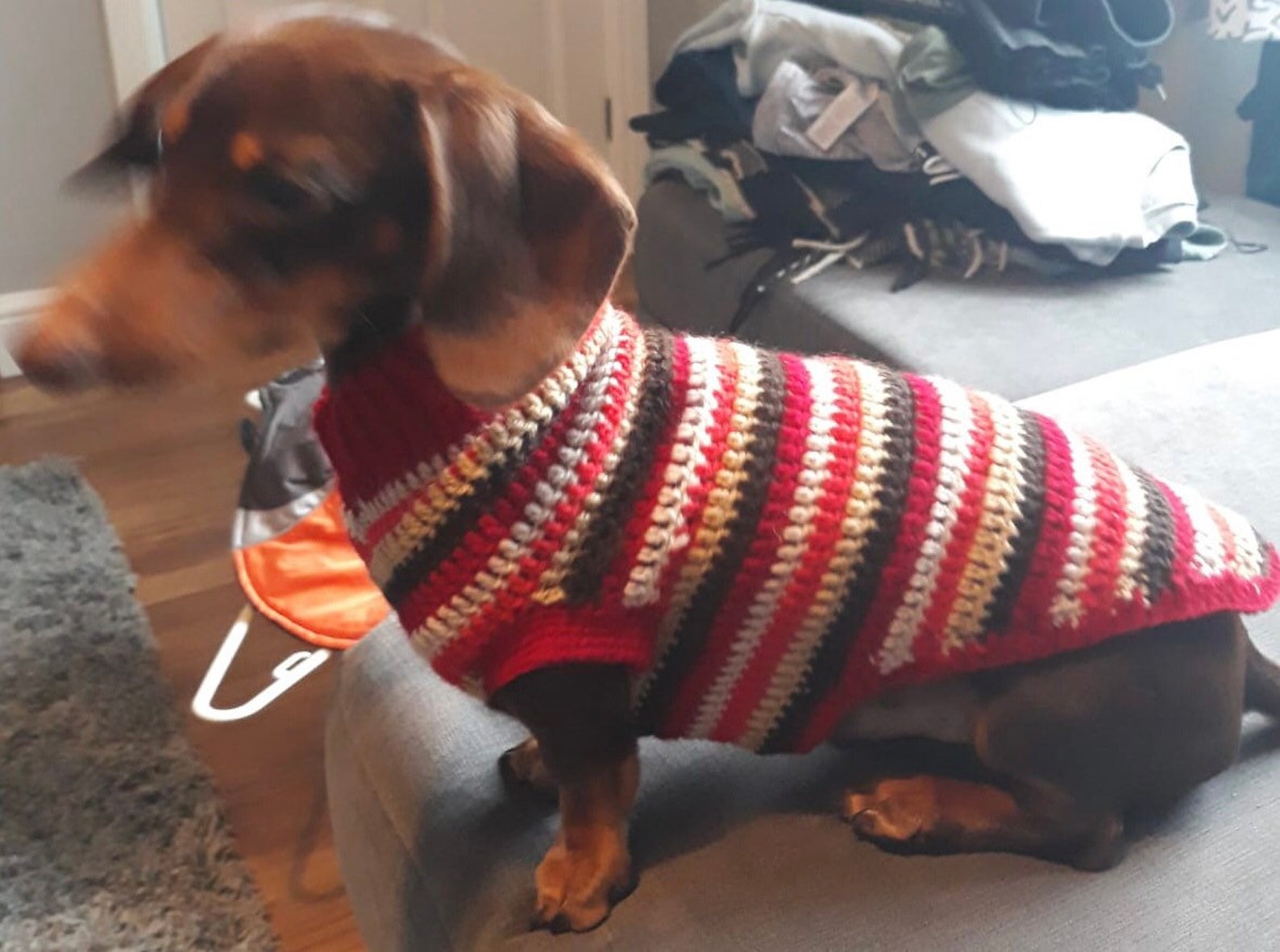 PDF Digital Download Crochet Pattern Crochet Dachshund Dog Etsy