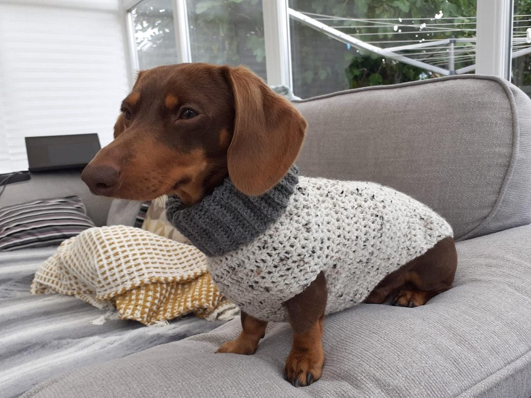 Crochet Dog Sweater Pattern: Roll Neck Dachshund Jumper (PDF Digital  Download) - Etsy