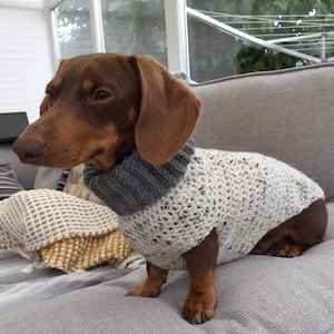 Häkelanleitung für Hundepullover: Rollkragen Dackelpullover (PDF Digital Download)