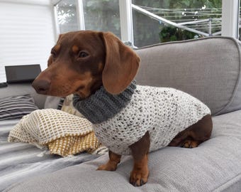 Crochet Dog Sweater Pattern: Roll Neck Dachshund Jumper (PDF