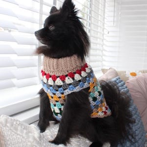 May include: A black dog wearing a colorful crochet sweater with a tan turtleneck collar. The sweater features a granny square design with red, white, blue, yellow, and green squares. The dog is sitting on a white surface near a window.