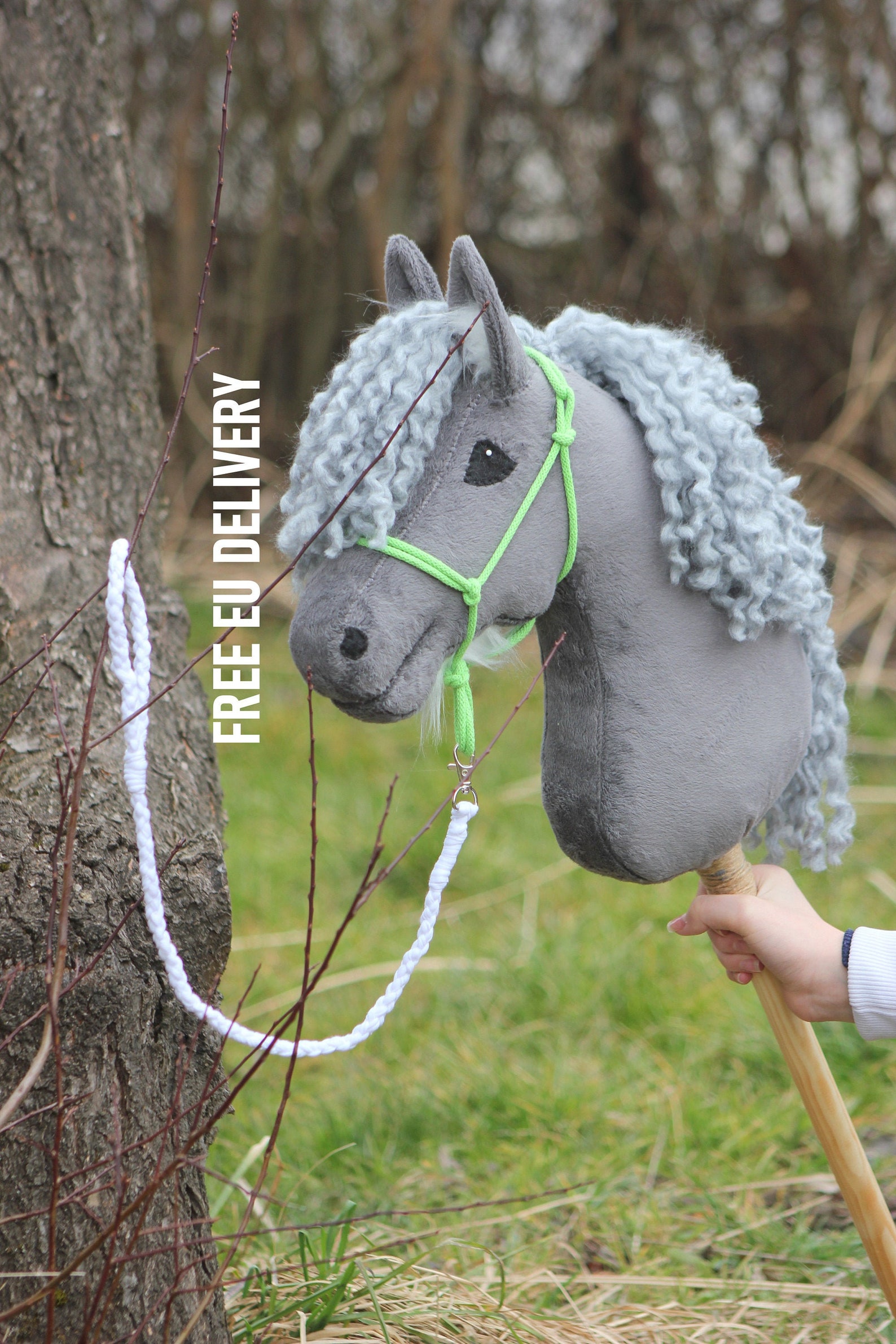 ICELANDIC Horse With Special Features Etsy Canada