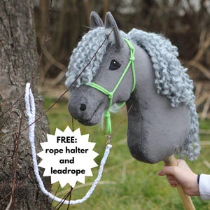 ICELANDIC horse with special features