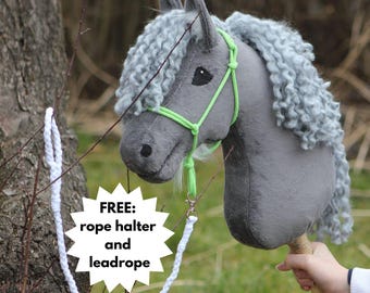 ICELANDIC horse with special features