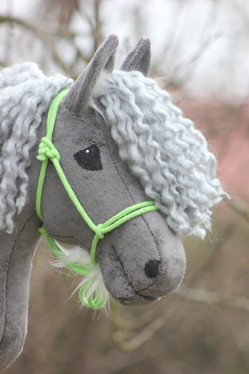 ICELANDIC Horse With Special Features Etsy Canada