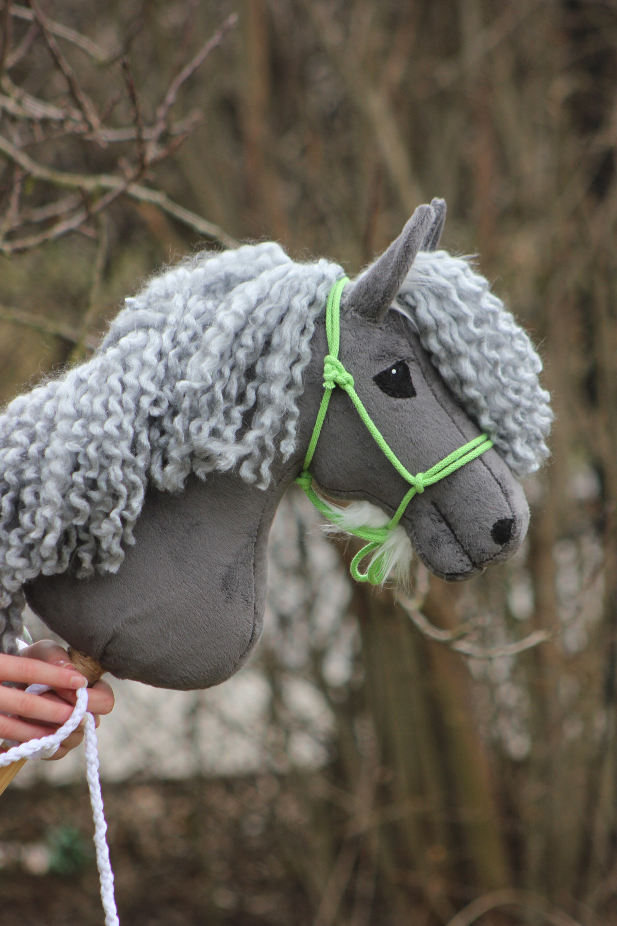 ICELANDIC Horse With Special Features Etsy Canada