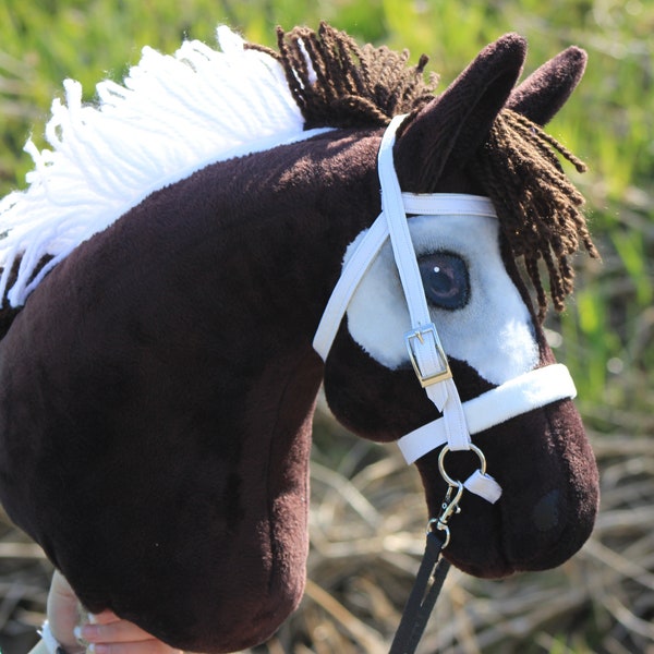 Beautiful INDIANA STYLE hobby horse