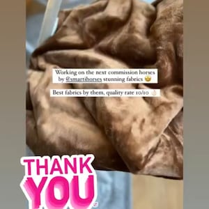 Op de afbeelding: Een close-up van een bruine stof met de tekst "Working on the next commission horses by @smartihorses stunning fabrics. Best fabrics by them, quality rate 10/10." en een roze sticker met de tekst "THANK YOU".