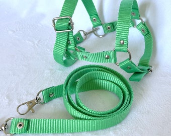 HALTER and REINS Adjustable