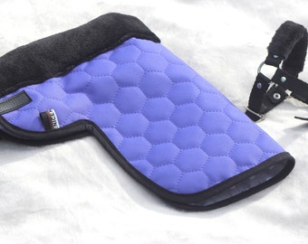 Set COPERTA+CAVEZZA DELUXE per cavallo da passeggio