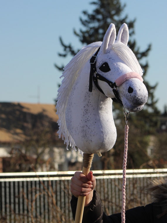 Livre pour enfant: 30 choses incroyables à propos des chevaux