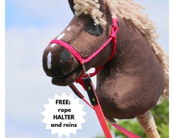 Poni de las Shetland