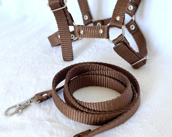 HALTER and REINS Adjustable