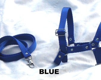 HALTER and REINS Adjustable