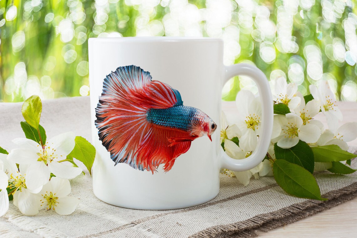 Funny Betta Fish Gifts for Friend Gifts for Fish Lover Etsy