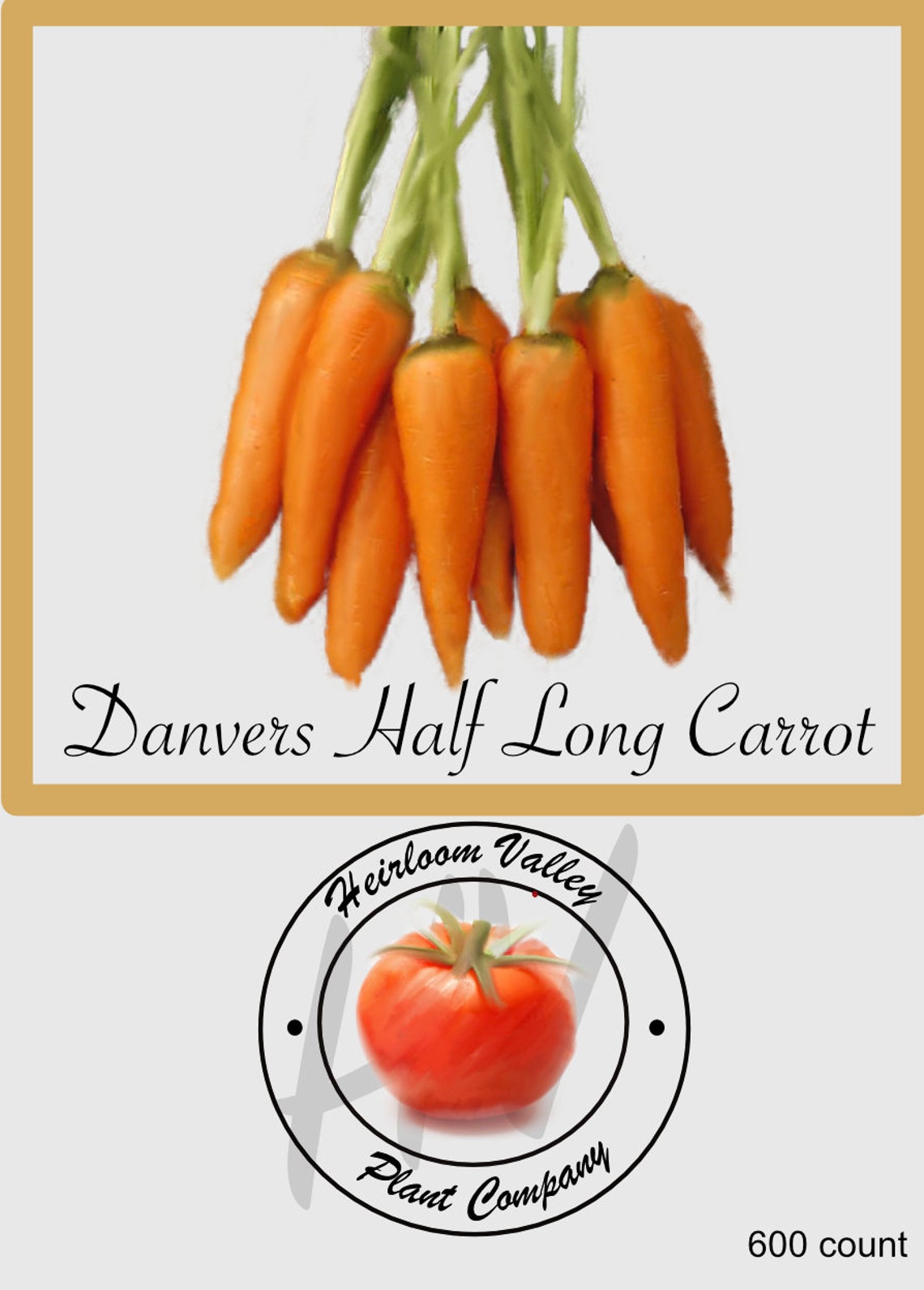 Danvers Half Long Carrot 600 Heirloom Seeds Open Etsy