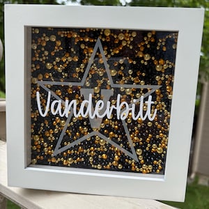 Custom College Shadow Box