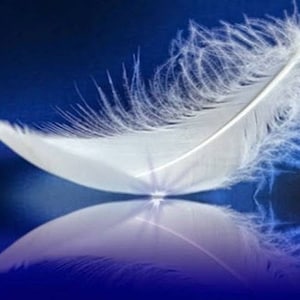 Mediumship Reading
