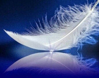 Spirit Mediumship Reading: Connect with Loved Ones