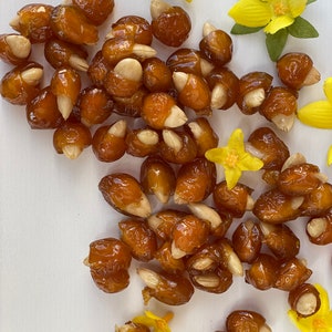 Cherry Almond, Dried Cherry, Dried Cherry stuffed with Almond, All Natural and Vegan