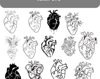 New Svg, Anatomy Svg, Anatomical Heart svg bundle, Flower Heart Svg, Human Heart Svg, Heart SVG, Medical Svg, Cut File For Cricut