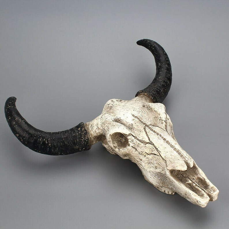 Wall Mount Animal Ornament Buffalo Skull Head Resin Hanging Etsy