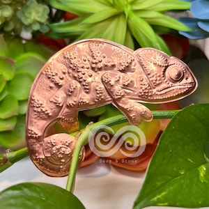 May include: A copper chameleon sculpture with a detailed textured surface. The sculpture is perched on a green plant stem.