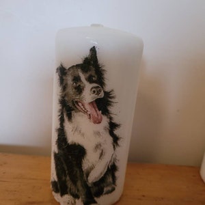 Collie dog hand decorated dog candle