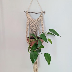 May include: A macrame plant hanger with a natural beige color, suspended from a wooden branch. A terracotta pot holds a green leafy plant. The plant hanger is knotted with intricate patterns, adding a bohemian touch to the decor.