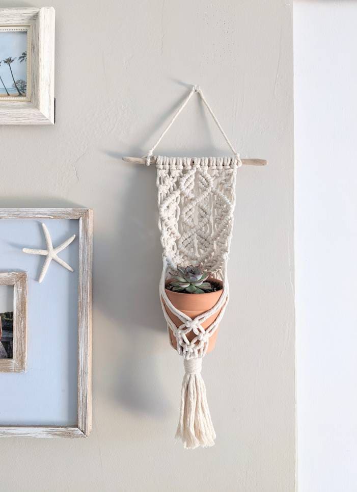 Handmade Macrame Plant Hanger with California Driftwood, Optional Succulent