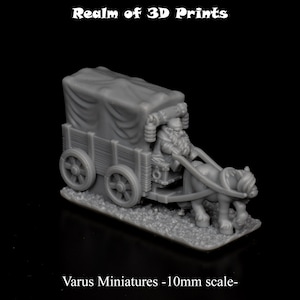 Kombi | Zwerge | Varus Miniaturen | 10 mm-Skala