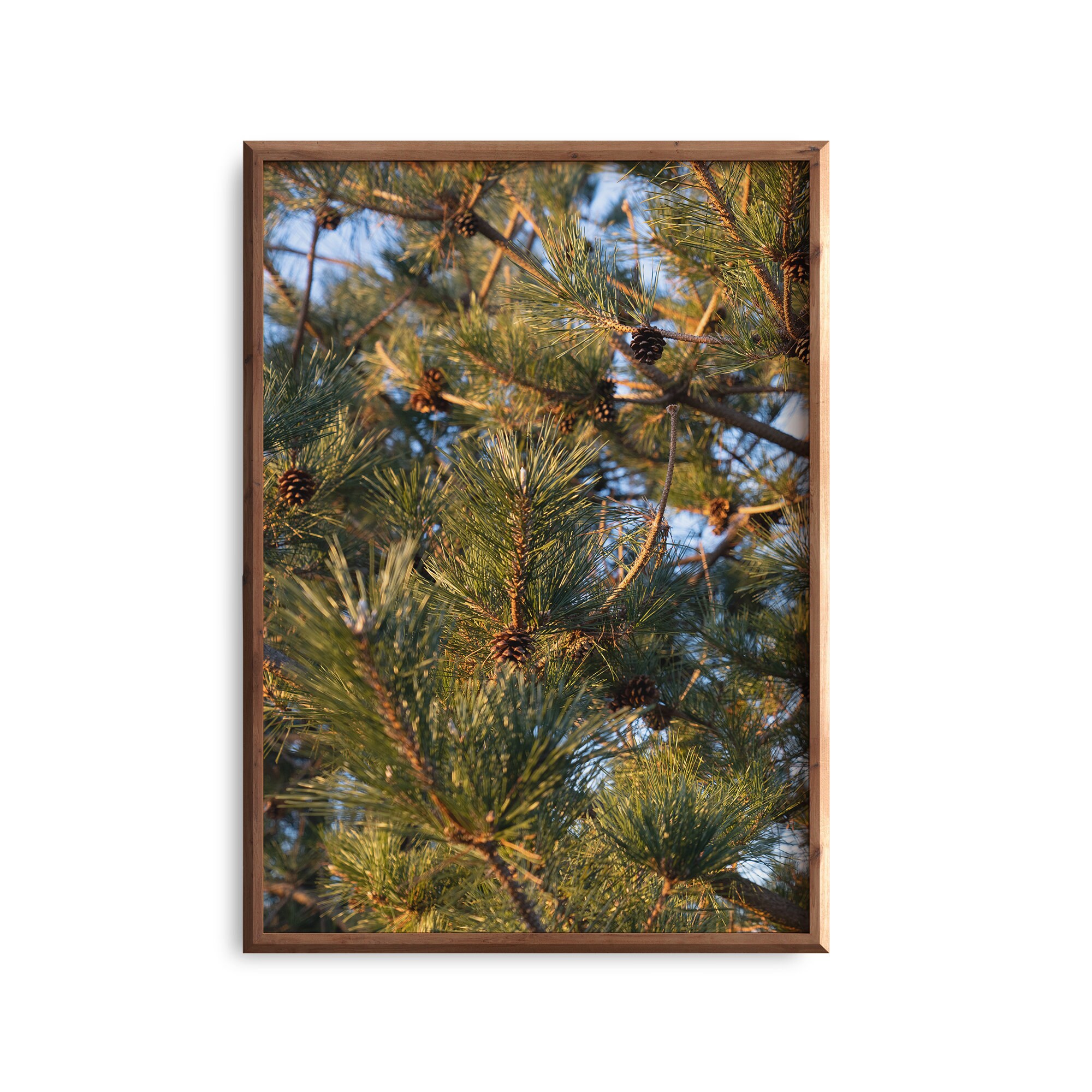 Pine tree art Wall decor self gift wall art pine tree Etsy